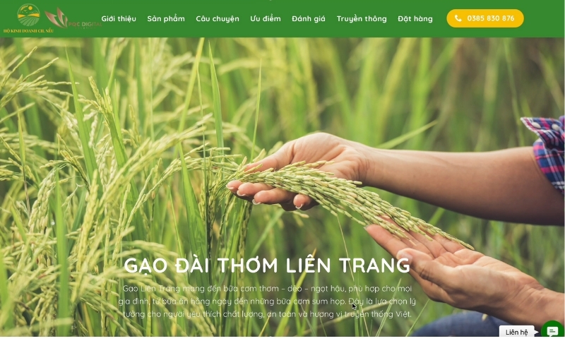 Dịch vụ thiết kế web trọn gói của PQC Digital