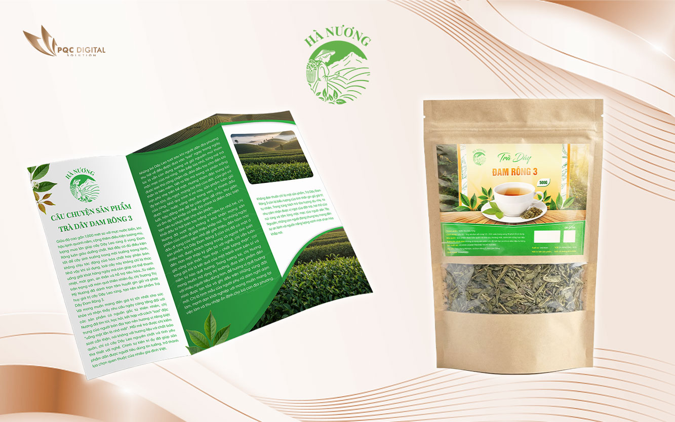 Thiết kế bao bì - Brochure - Logo