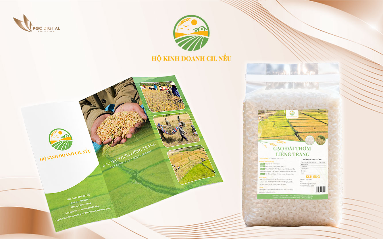 Thiết kế bao bì - Brochure - Logo